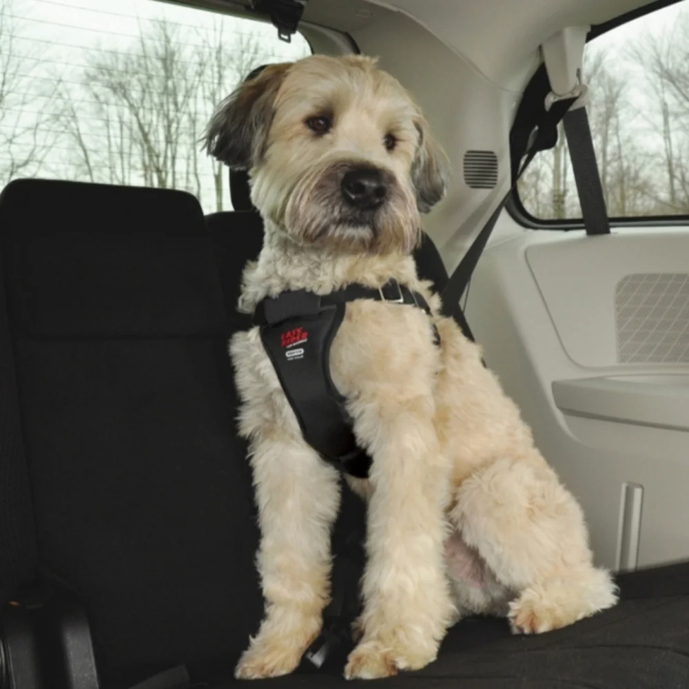 Easy Rider Dog Harness Size Large